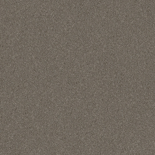 WITHOUT LIMITS I - Misty Mica 00105