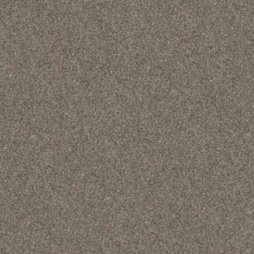 WITHOUT LIMITS I - Abalone 00101