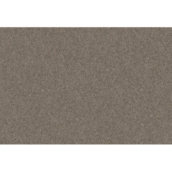 WITHOUT LIMITS I - Abalone 00101