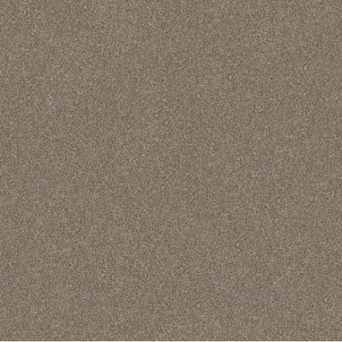 WITHOUT LIMITS I - Macadamia 00102