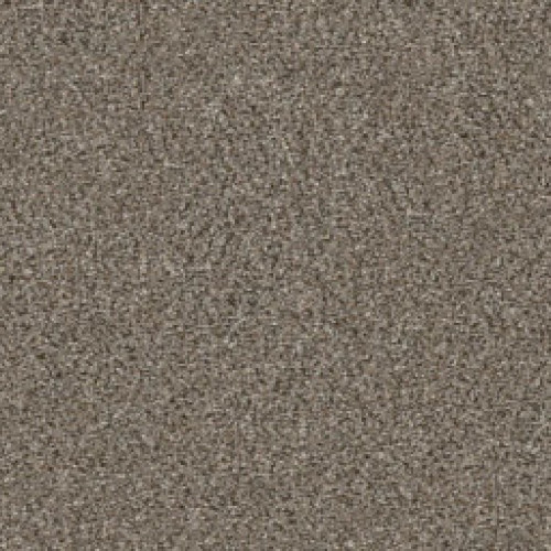 WITHOUT LIMITS II - Saddle Tan 00700