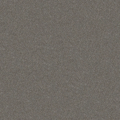WITHOUT LIMITS II - Tundra 00501