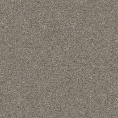 WITHOUT LIMITS II - Abalone 00101