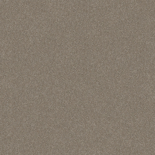 WITHOUT LIMITS II - Macadamia 00102