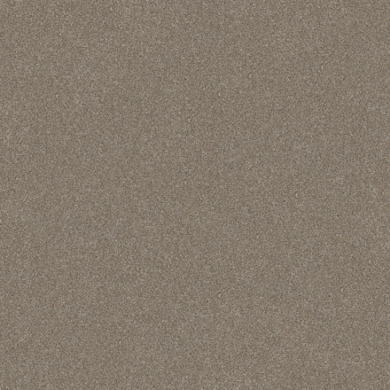 WITHOUT LIMITS II - Macadamia 00102 WITHOUT LIMITS II - Macadamia 00102
