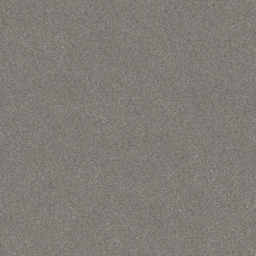 WITHOUT LIMITS II - Stainless 00500