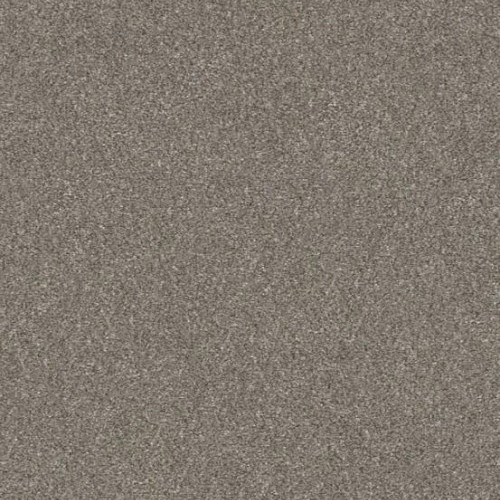WITHOUT LIMITS III - Abalone 00101