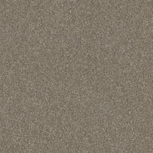 WITHOUT LIMITS III - Macadamia 00102