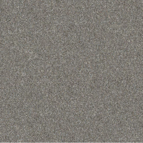 WITHOUT LIMITS III - Stainless 00500