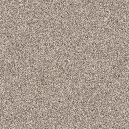 TRUSPIRIT I - Mist 00103
