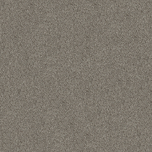 TRUSPIRIT I - Iron Works 00506