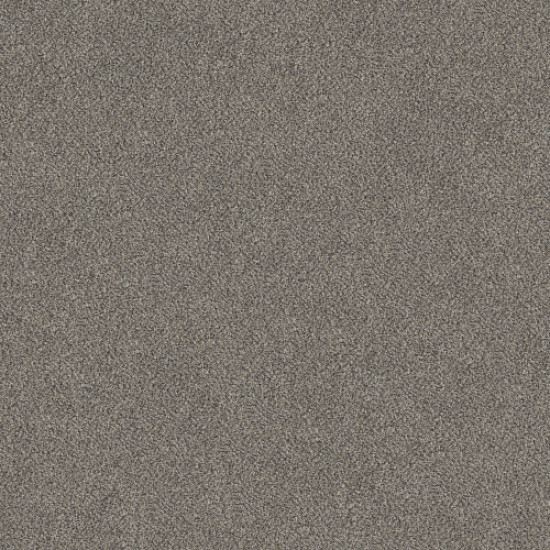 TRUSPIRIT I - Concrete 00507 TRUSPIRIT I - Concrete 00507