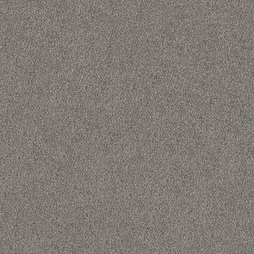 TRUSPIRIT I - Stainless 00508