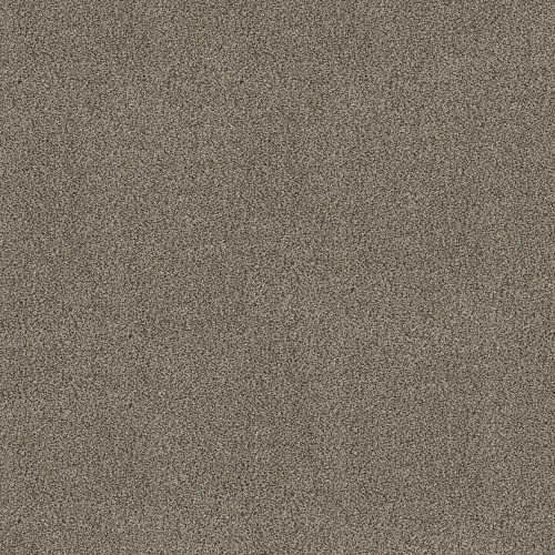 TRUSPIRIT I - Truffle 00701