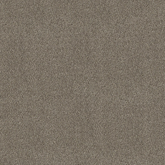 TRUSPIRIT I - Truffle 00701 TRUSPIRIT I - Truffle 00701