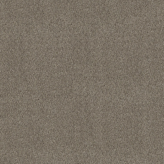 TRUSPIRIT I - Truffle 00701 TRUSPIRIT I - Truffle 00701
