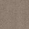TRUSPIRIT I - Timeless Tan 00704