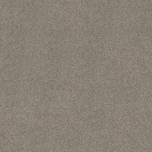 TRUSPIRIT I - Timeless Tan 00704