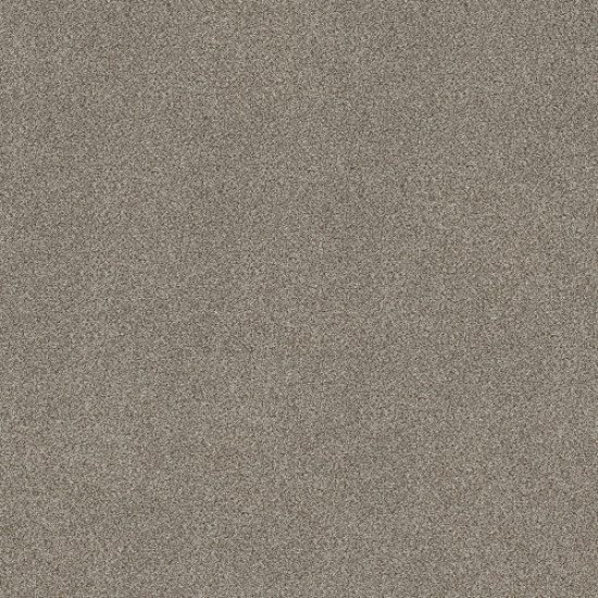 TRUSPIRIT I - Timeless Tan 00704 TRUSPIRIT I - Timeless Tan 00704