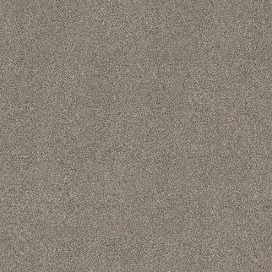 TRUSPIRIT I - Timeless Tan 00704 TRUSPIRIT I - Timeless Tan 00704