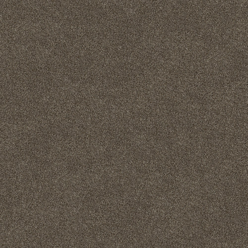 TRUSPIRIT I - Chestnut 00707