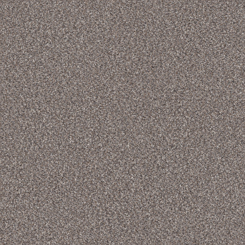 TRUSPIRIT II - Stainless 00508
