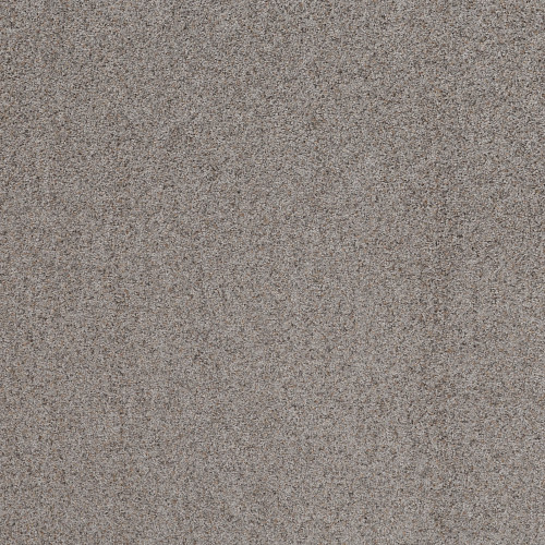 WORK IT OUT - Touch Of Gray 00500