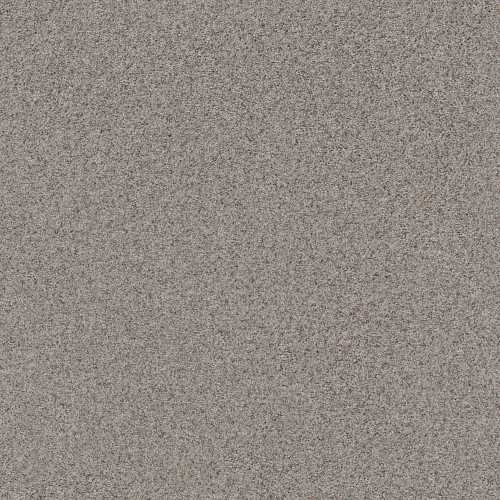 WORK IT OUT - Touch Of Gray 00500
