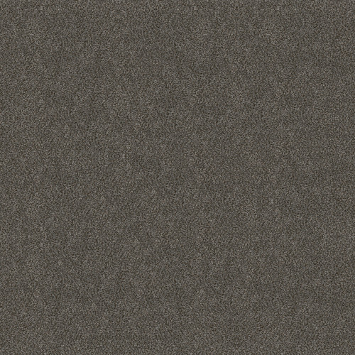 BOUNDLESS IV - Shadow 00703
