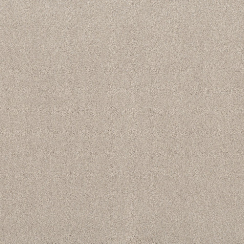 LIVE ON COMFORT - Bleached Oak 00144