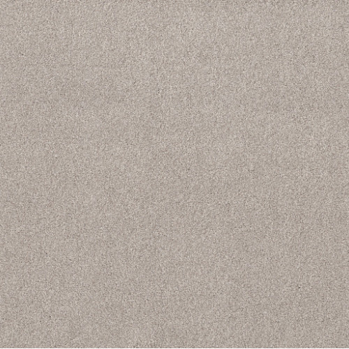 LIVE ON COMFORT - Brushed Aluminum 00148