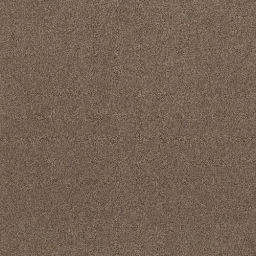 LIVE ON COMFORT - Classic Caramel 00740