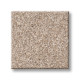 LIVE ON COMFORT - Palm Desert 00741 LIVE ON COMFORT - Palm Desert 00741