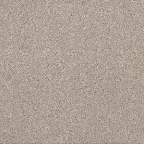 LIVE ON COMFORT - Warm Sand 00763