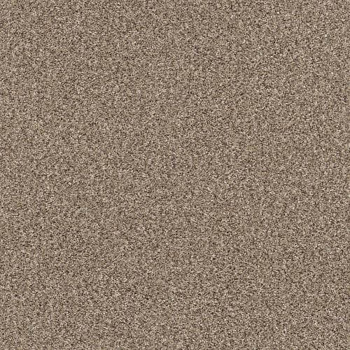 YES YOU CAN I 12' - Sea Shell 00100