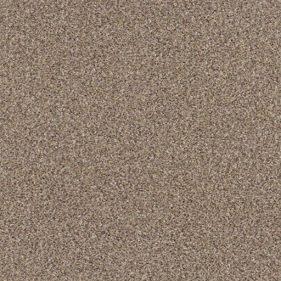 YES YOU CAN I 12' - Sea Shell 00100 YES YOU CAN I 12' - Sea Shell 00100