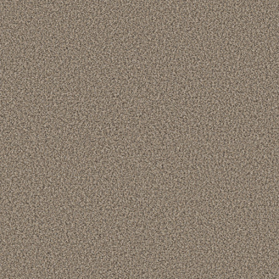 YES YOU CAN I 12' - Sea Shell 00100 YES YOU CAN I 12' - Sea Shell 00100