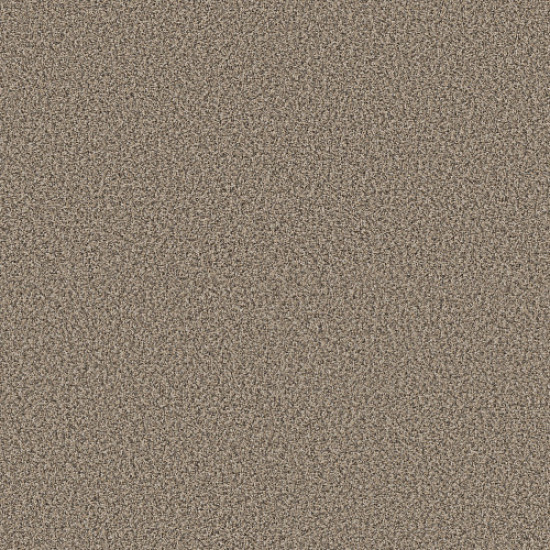 YES YOU CAN I 12' - Sea Shell 00100 YES YOU CAN I 12' - Sea Shell 00100