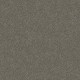 YES YOU CAN I 12' - Rerooted Nature 00300 YES YOU CAN I 12' - Rerooted Nature 00300
