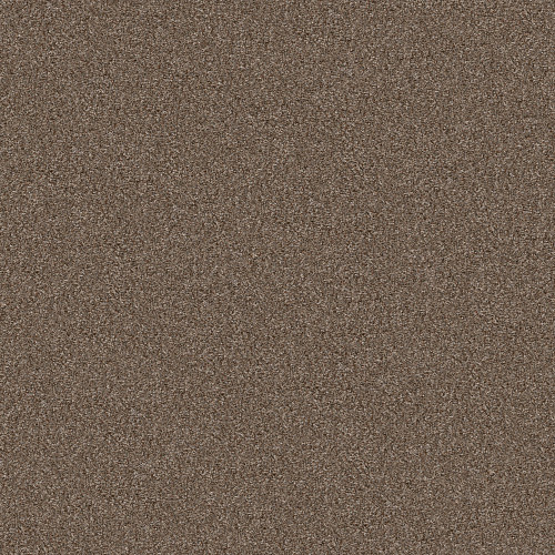 YES YOU CAN I 12' - Worn Path 00700