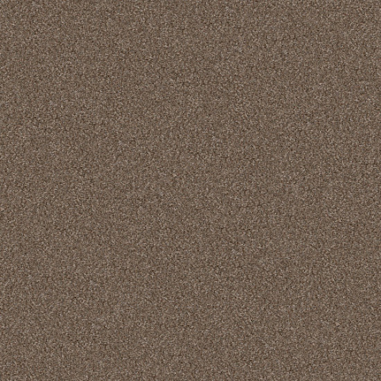 YES YOU CAN I 12' - Worn Path 00700