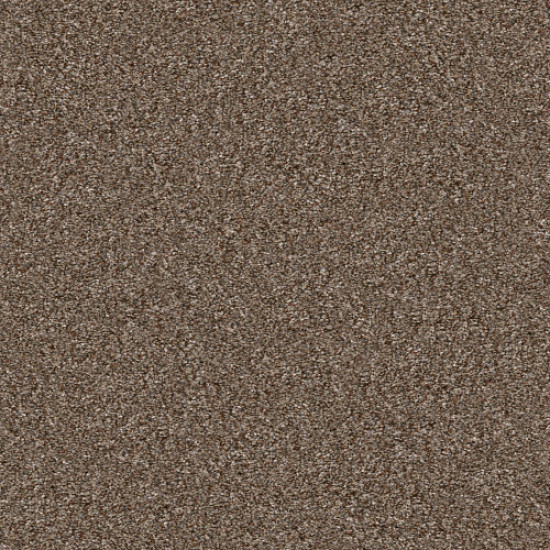 YES YOU CAN I 12' - Worn Path 00700