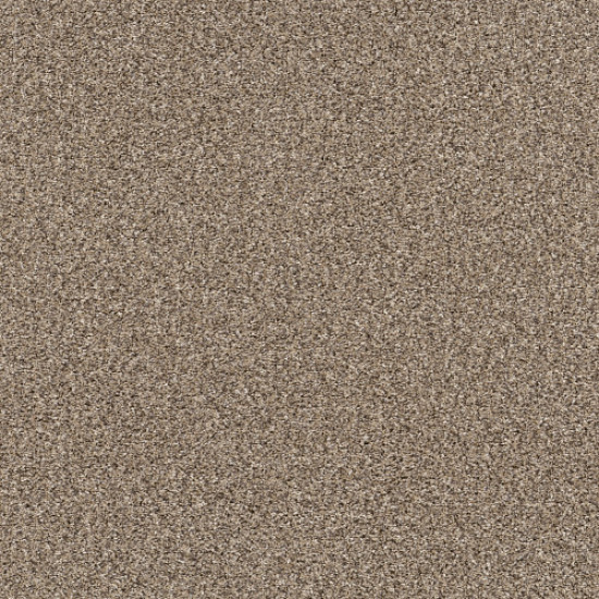 YES YOU CAN III 12' - Sea Shell 00100 YES YOU CAN III 12' - Sea Shell 00100
