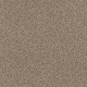 YES YOU CAN III 12' - Sea Shell 00100 YES YOU CAN III 12' - Sea Shell 00100