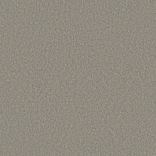 POSH LIFE - Shy Sage 00352