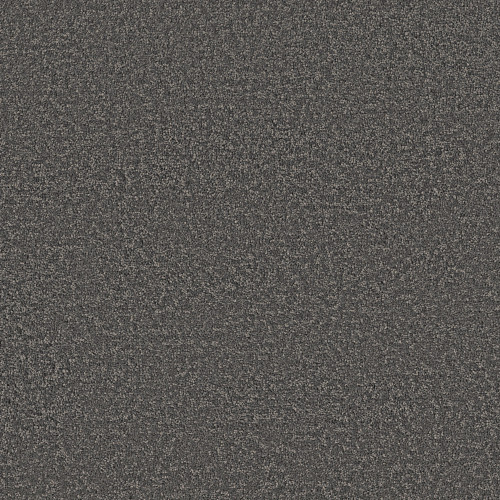 POSH LIFE - Shadow 00502