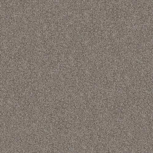 YES YOU CAN I 15' - Chic Greige 00111