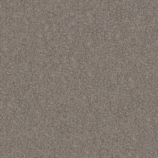YES YOU CAN II 15' - Chic Greige 00111 YES YOU CAN II 15' - Chic Greige 00111