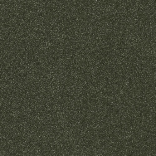 HARD AT PLAY III 15' - Rerooted Nature 00300
