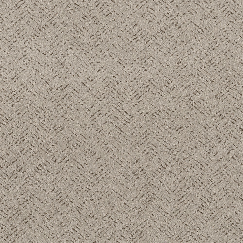 FAVOURED PATH - River Birch 00106